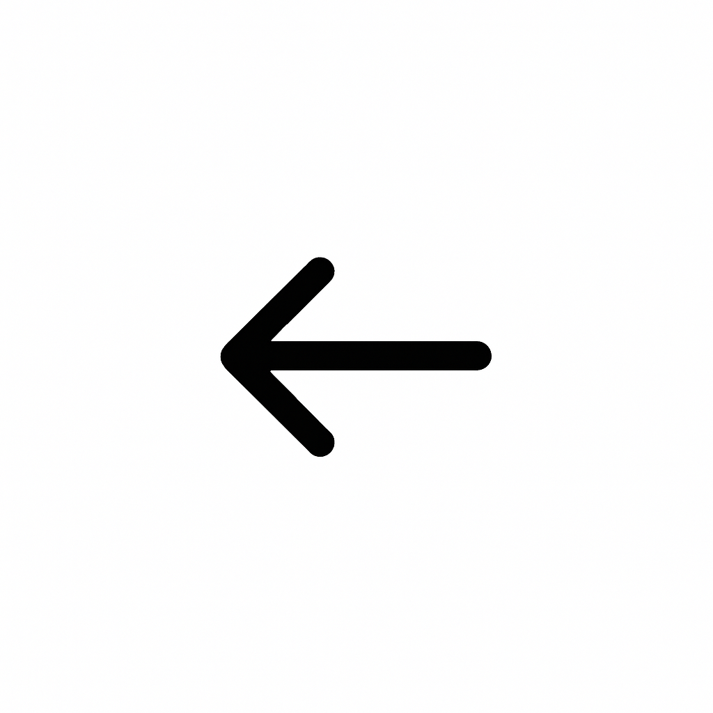 Zurück Icon